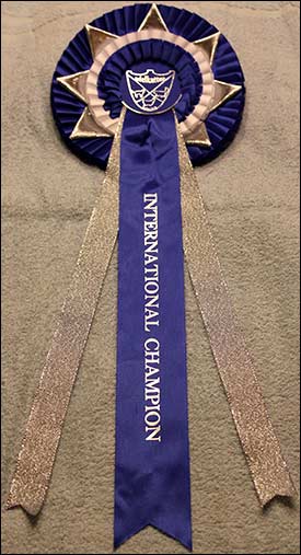 Jätte Grattis!!! Millwall (IC S*Divine Coon's Dolce Gabbana) som blev nu IC och Husse blev jättestolt på kattutställning i Letohallen, Dal (Råholt/Norge), som Adelkatten hade anordnat, 2012-11-25. Jätte Grattis!!! Millwall (IC S*Divine Coon's Dolce Gabbana) som blev nu IC och Husse blev jättestolt på kattutställning i Letohallen, Dal (Råholt/Norge), som Adelkatten hade anordnat, 2012-11-25.