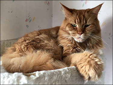 Hell, 2019-03-30. Hell, 2019-03-30.
