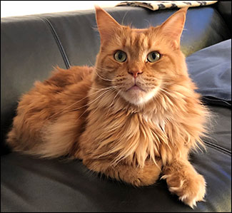 Hell, 2019-08-03. Hell, 2019-08-03.