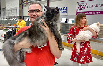 Lucifer PR (N) Gentle Powers Ferrari, male/neuter, MCO ns, 2019-06-30. Lucifer PR (N) Gentle Powers Ferrari, male/neuter, MCO ns, 2019-06-30.