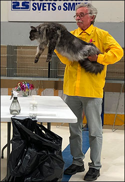 Lucifer PR (N) Gentle Powers Ferrari, male/neuter, MCO ns, 2019-06-30. Lucifer PR (N) Gentle Powers Ferrari, male/neuter, MCO ns, 2019-06-30.