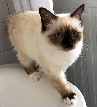 Plutten, 2018-08-11. Plutten, 2018-08-11.