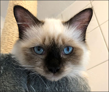 Plutten, 2018-08-11. Plutten, 2018-08-11.