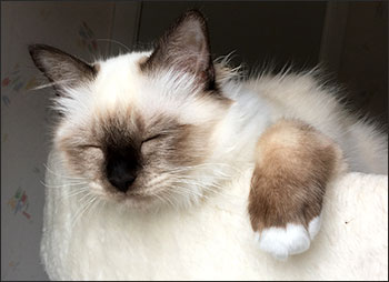 Plutten, 2018-08-19. Plutten, 2018-08-19.