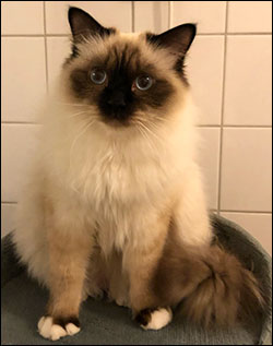 Plutten, 2019-01-05. Plutten, 2019-01-05.
