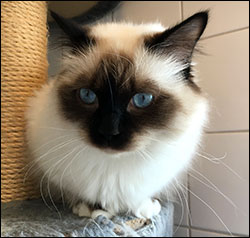 Plutten, 2019-02-16. Plutten, 2019-02-16.