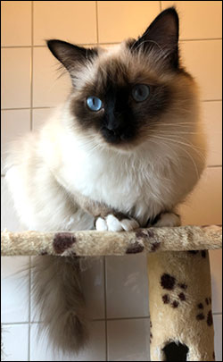 Plutten, 2019-03-08. Plutten, 2019-03-08.