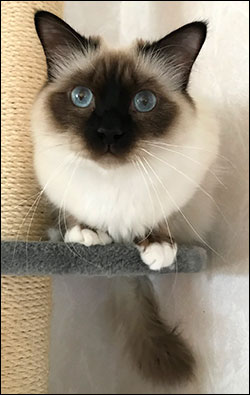 Plutten, 2019-03-30. Plutten, 2019-03-30.