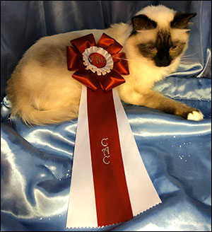 Plutten, 2019-06-29. Plutten, 2019-06-29.