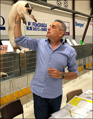 Plutten, 2019-06-29. Plutten, 2019-06-29.