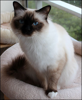 Plutten, 2019-07-04. Plutten, 2019-07-04.