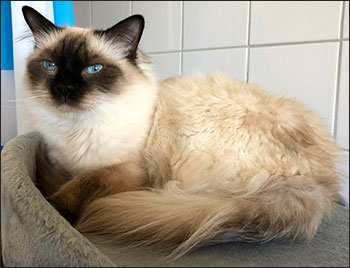 Plutten, 2019-07-27. Plutten, 2019-07-27.