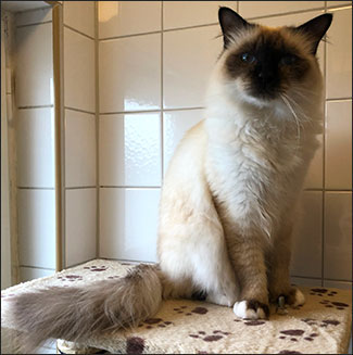 Plutten, 2019-09-13. Plutten, 2019-09-13.