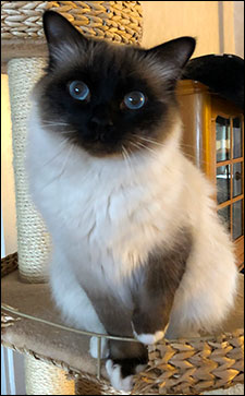 Plutten, 2019-11-10. Plutten, 2019-11-10.