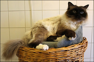 Plutten, 2019-12-24. Plutten, 2019-12-24.