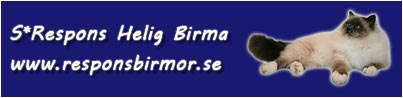 S* Respons - Helig Birma