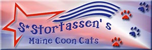 Välkommen till Stortassen's Mainecoon, en kattuppfödning i hemmiljö.