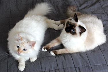 Tiger och Plutten, 2019-03-03. Tiger och Plutten, 2019-03-03.