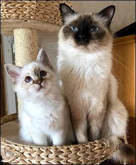 Freja och Plutten, 2019-07-12. Freja och Plutten, 2019-07-12.