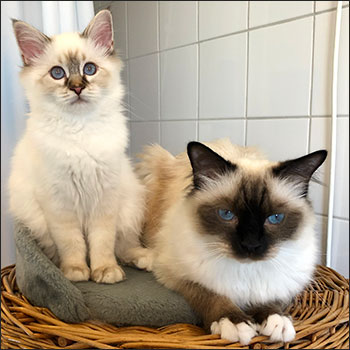 Freja och Plutten, 2019-07-27. Freja och Plutten, 2019-07-27.