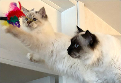 Freja och Plutten, 2019-10-04. Freja och Plutten, 2019-10-04.