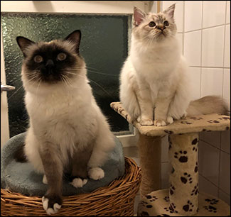 Plutten och Freja, 2019-10-25. Plutten och Freja, 2019-10-25.