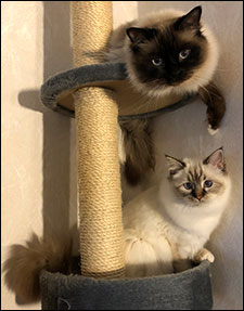 Plutten och Freja, 2019-12-26. Plutten och Freja, 2019-12-26.